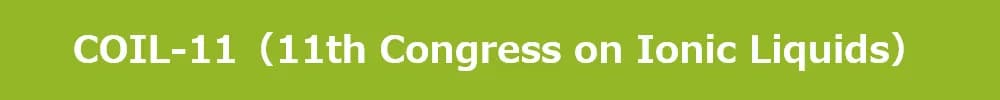 11th Congress on Ionic Liquids