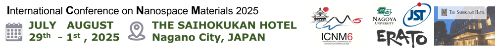 6th International Conference on Nanospace Materials