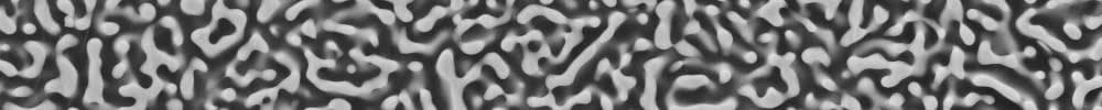 5th International Symposium on Nanoporous Materials by Alloy Corrosion