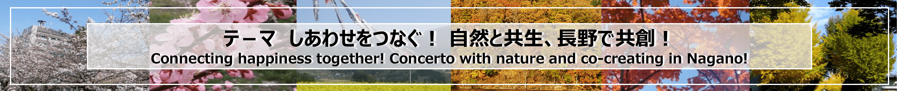 第63回日本油化学会年会
