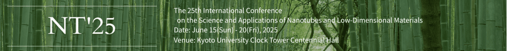 NT 25（The 25th International Conference on the Science and Applications of Nanotubes and Low-Dimensional Materials）