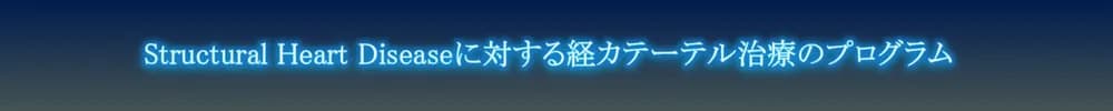 第9回TAVIワークショップ
